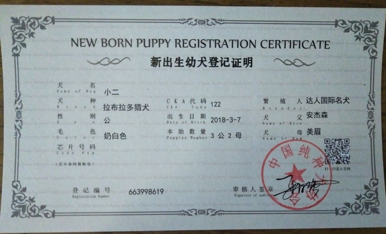 欢迎您继续申请办理cka的《纯血犬血统证书》,通过cka颁发的 《纯血犬